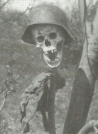 Mutilation de morts de guerre japonais par des Américains German10