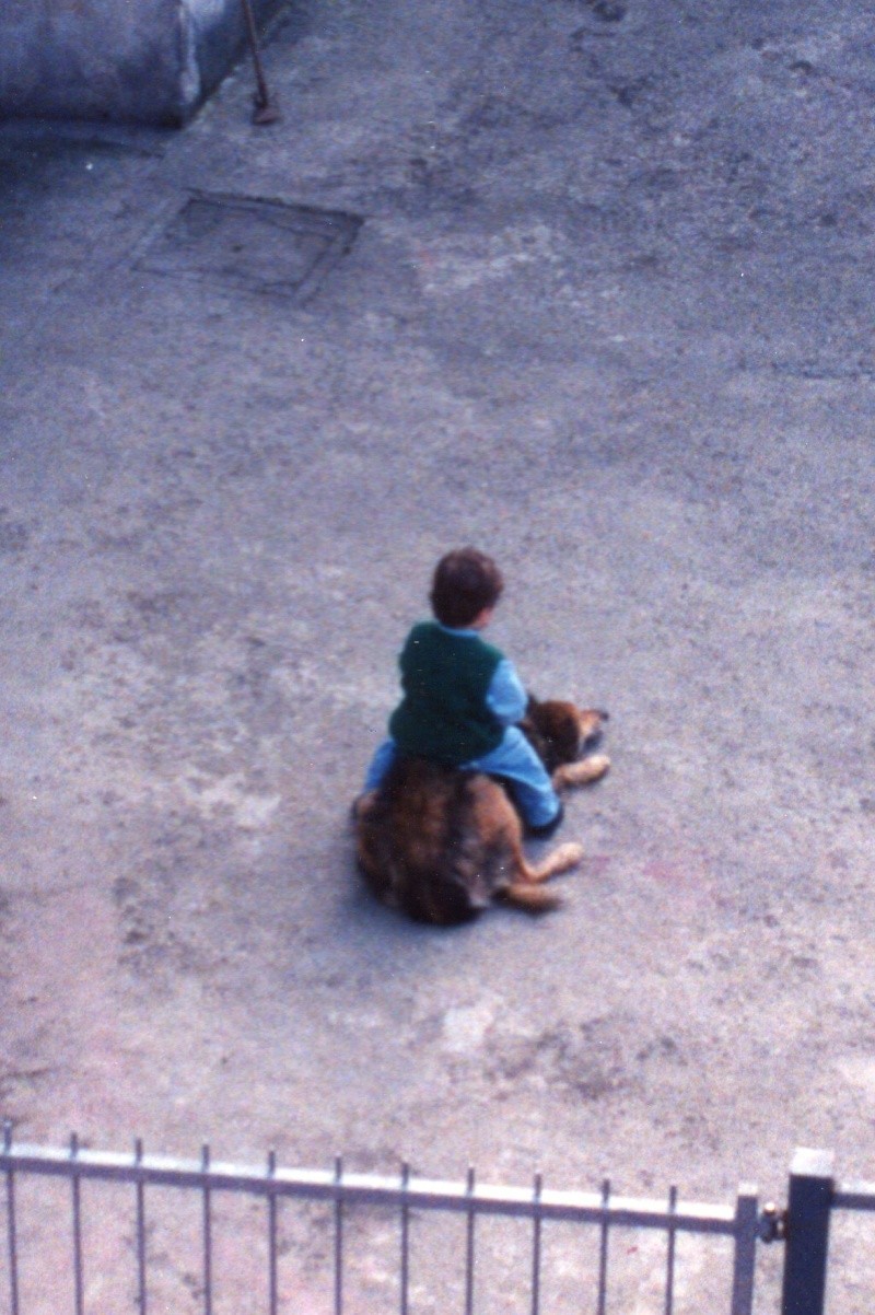 cani e bambini: cerrrrto che si può! abbiamo le prove! Img00710