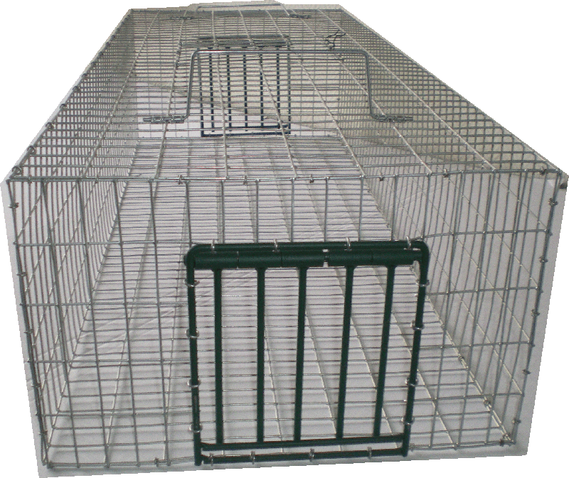pigeons sous un hangar de stockage moyens de lutte - Page 2 Face_110