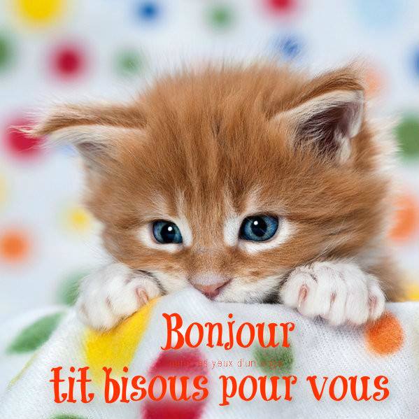 Cairns de Novembre 2016 - Page 11 Bonjou10