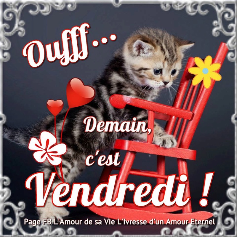 Cairns de Décembre 2016 Demain10