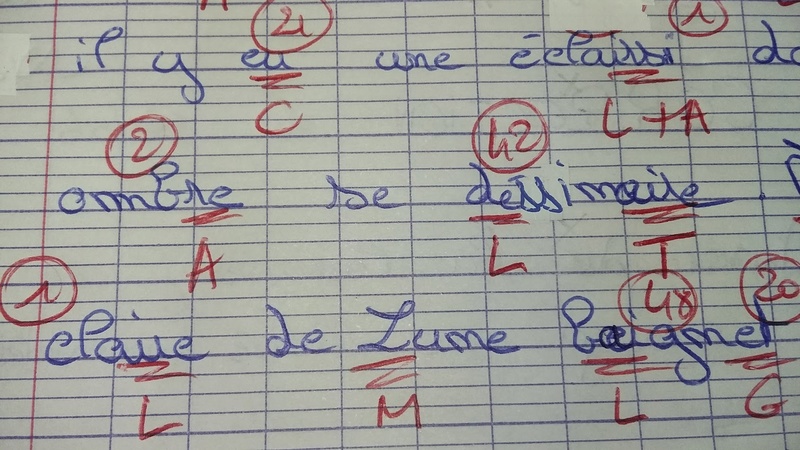 [Le Monde] Le niveau en orthographe des écoliers français plonge - Page 6 Lettre11