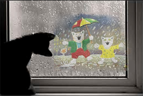Les Chats Et La Pluie