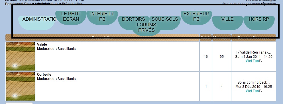 Onglets de catégories : deux problèmes Captur10