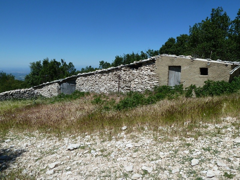 Sur les hauteurs de Buis les baronnies - Page 3 P1010317