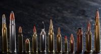 ZERO HEDGE - OBAMA ISSUED A MASSIVE AMMUNITION BAN JUST ONE DAY BEFORE HE LEFT OFFICE 20170162