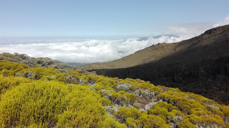 Neuf jours de bivouac à la Réunion Img_2020