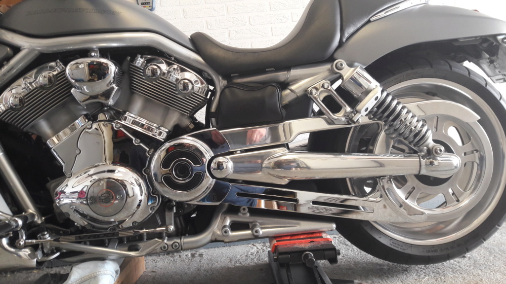 Protège courroie chrome vrod kit 20180311