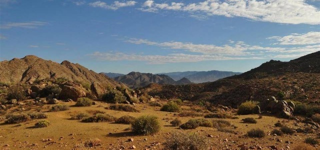 LE NAMAQUALAND/ AFRIQUE DU SUD Richte11