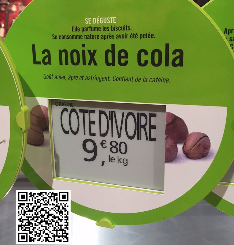 Culture ethnobotanique en France : Kolatier - Noix de Cola nitida, acuminata et gigantea. Prixx10