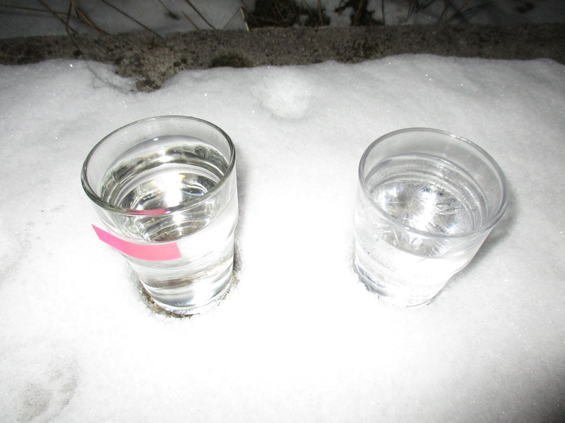 et si le froid arrivait, ou pas ... ? Img_2112