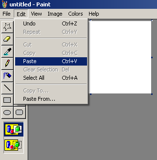 How to Take a Screenshot in Microsoft Windows Print310