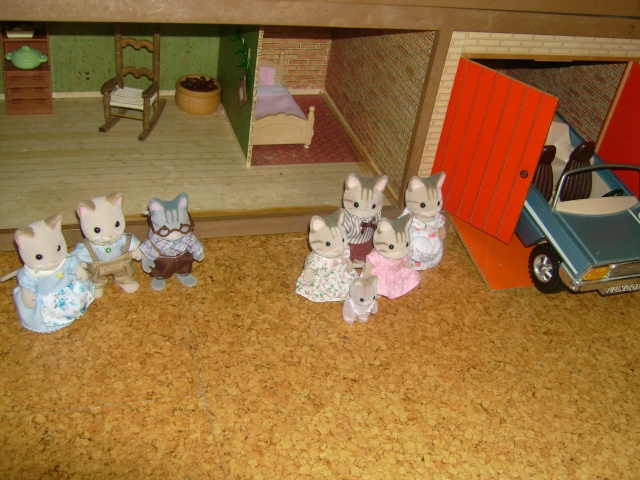 - Mes sylvanians - Img_1415