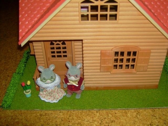 - Mes sylvanians - Img_1438