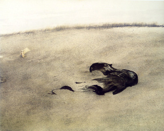 I "Winter"...Quelque chose attend, tapi dessous Wyeth_25