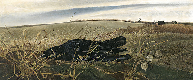 K Autour de "Soaring" et de "Public sale" Wyeth_86