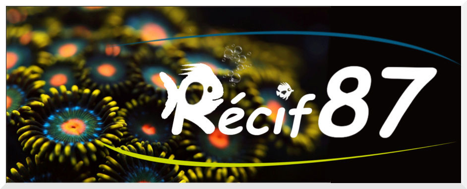  photo logo Récif87