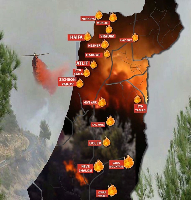 Violent incendie qui ravage la ville d'Haïfa en Israël 15202510