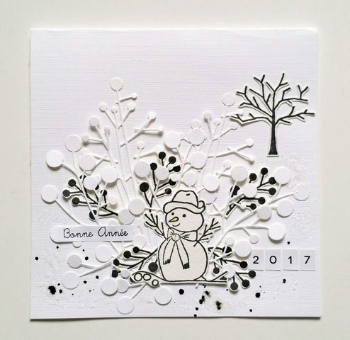 Les cartes de janvier 2017 Picsar92