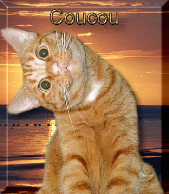 Salut les amis !!!! - Page 18 03fde310