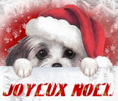 les cairns racontent leur vie à leurs copains - décembre 2016 - Page 2 Joyeux10