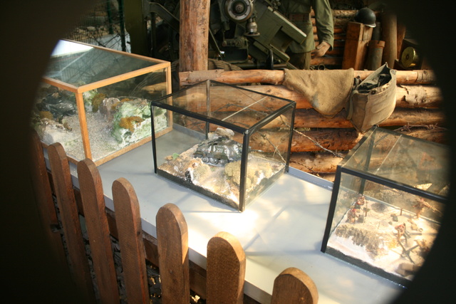 Militärmuseum HATTEN im Elsaß. Img_0111