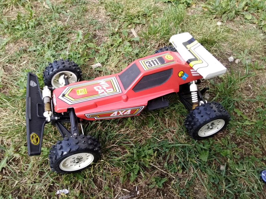 Traxxas wildcat 15692312