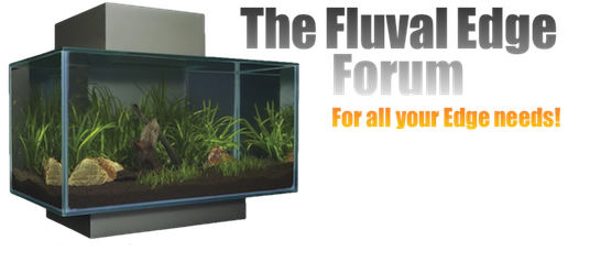 The Fluval Edge Forum