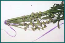 How to Make Lavender "Wands" Lavwan12