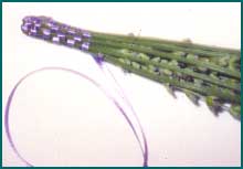 How to Make Lavender "Wands" Lavwan13