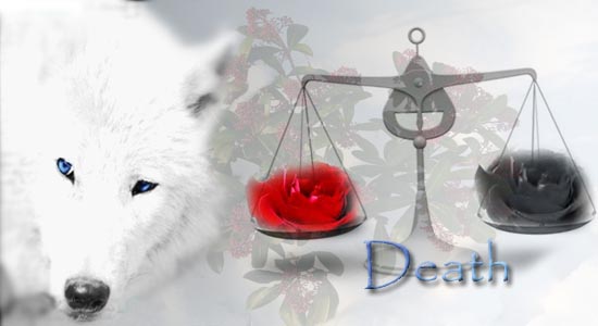 Death die Wölfin Death_10