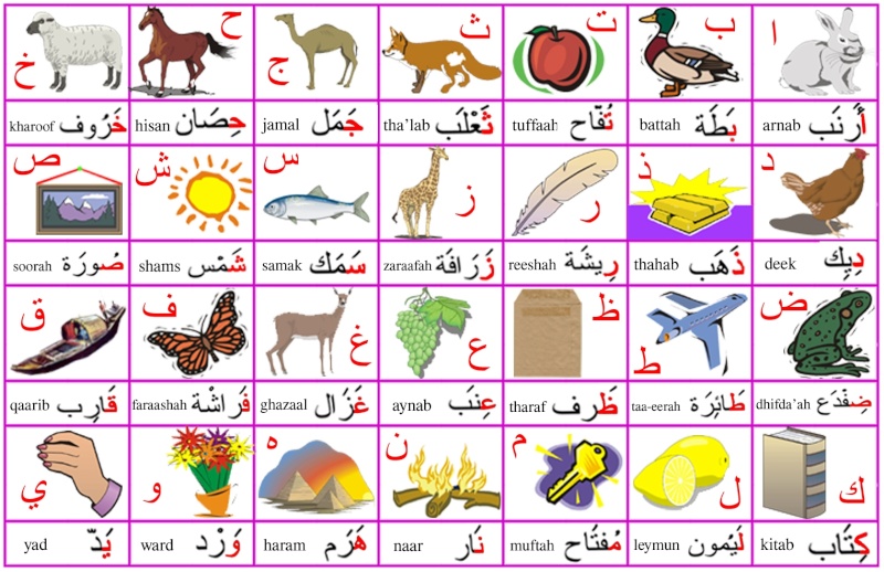 Arabisk for de små Alphab10