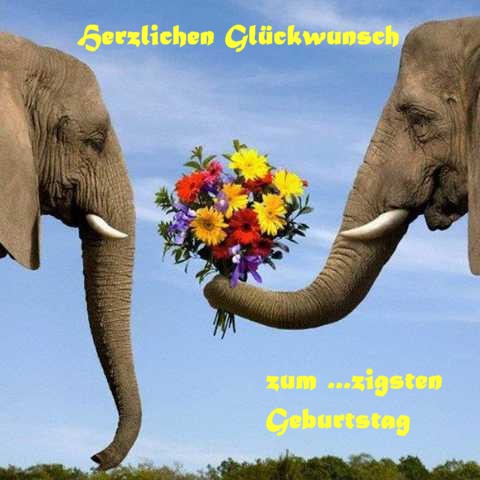 Herzlichen Glueckwunsch, liebe Betty Elefan10