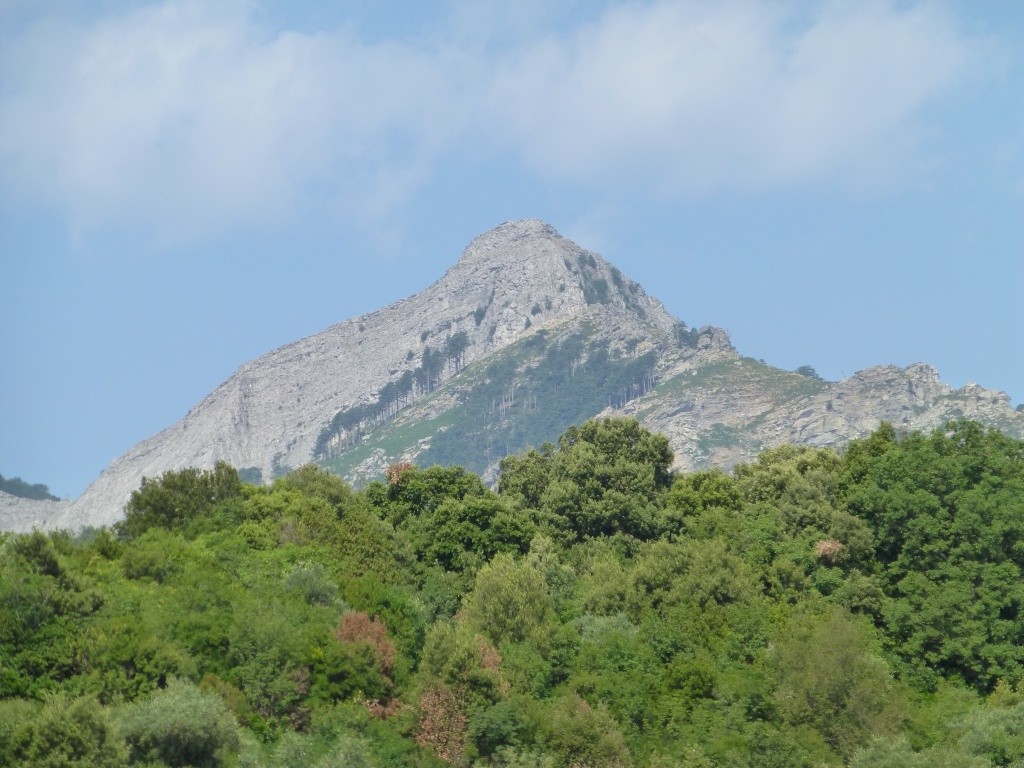 Greece, Island of Thassos, Golden Bay, 2013 08910