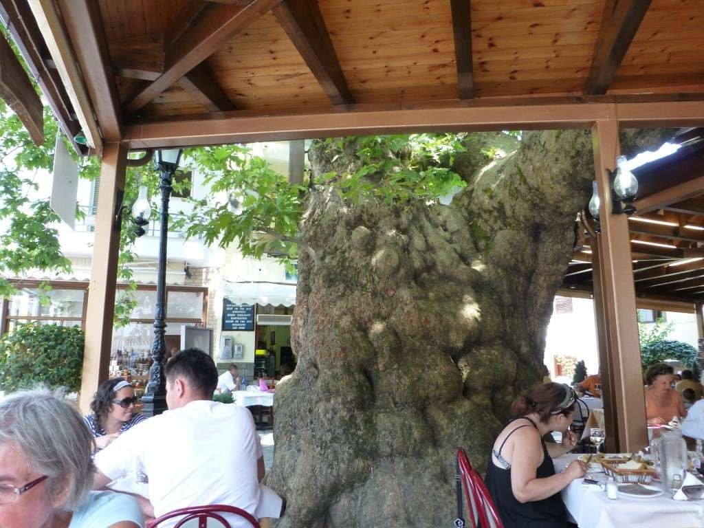 Greece, the Island of Thassos, Golden Beach, MiniTrain trip 62311