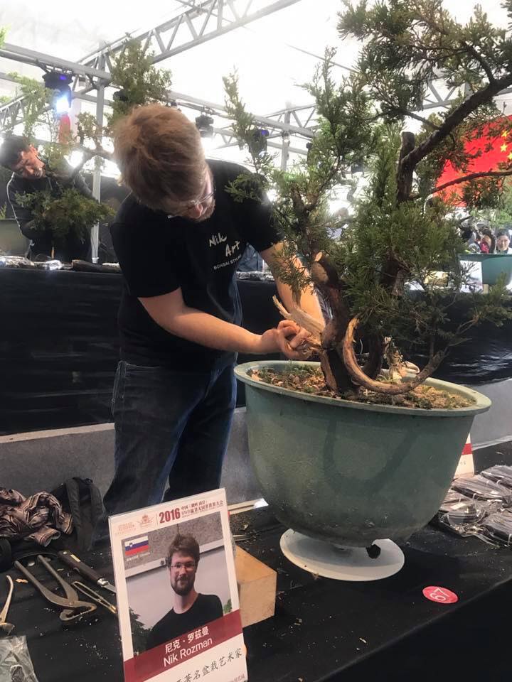 Bonsai Without Borders convention 15356710