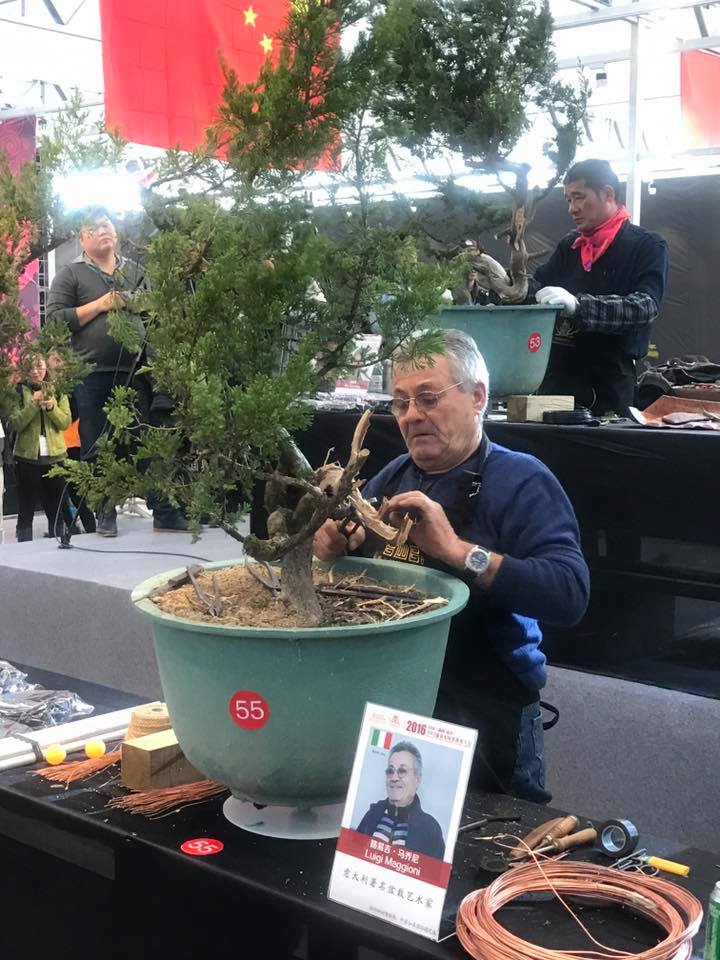 Bonsai Without Borders convention 15400910