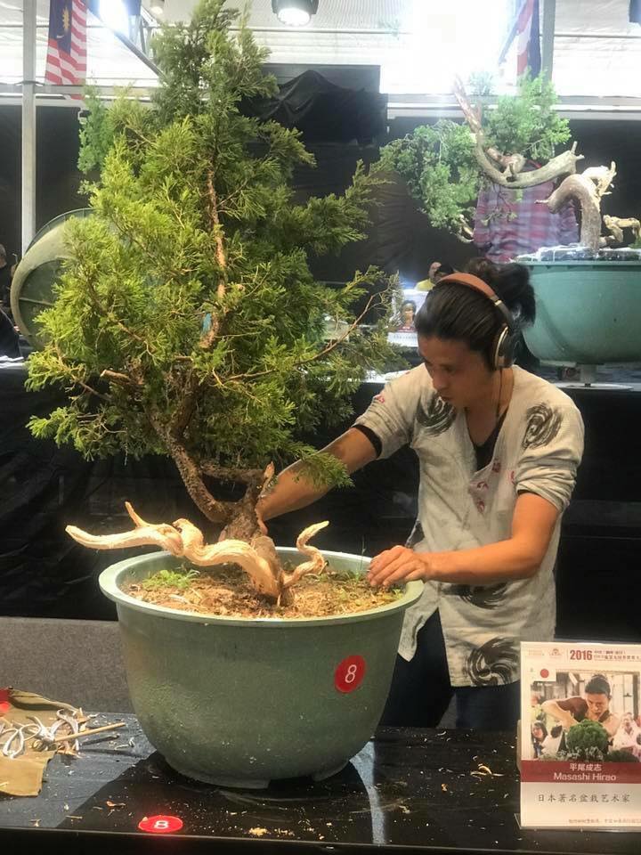 Bonsai Without Borders convention 15401110