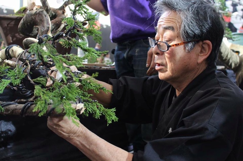 Bonsai Without Borders convention 15578610