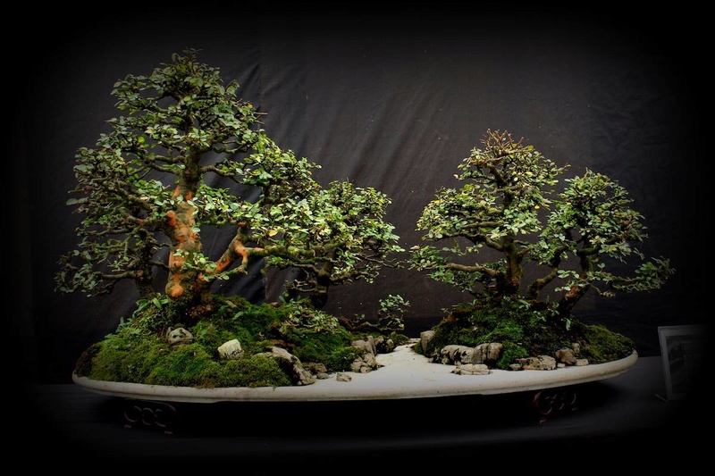 Bonsai Without Borders convention 15585010