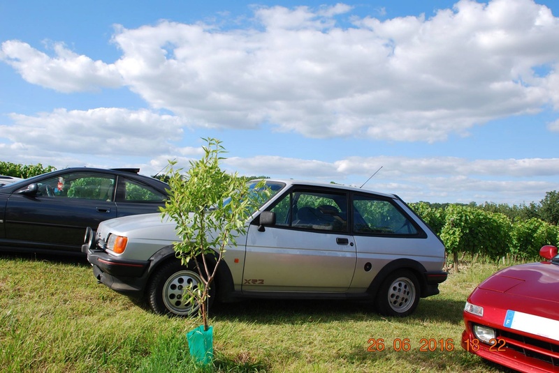 [Ford Fiesta XR2 grise 1989] Manu 13502710