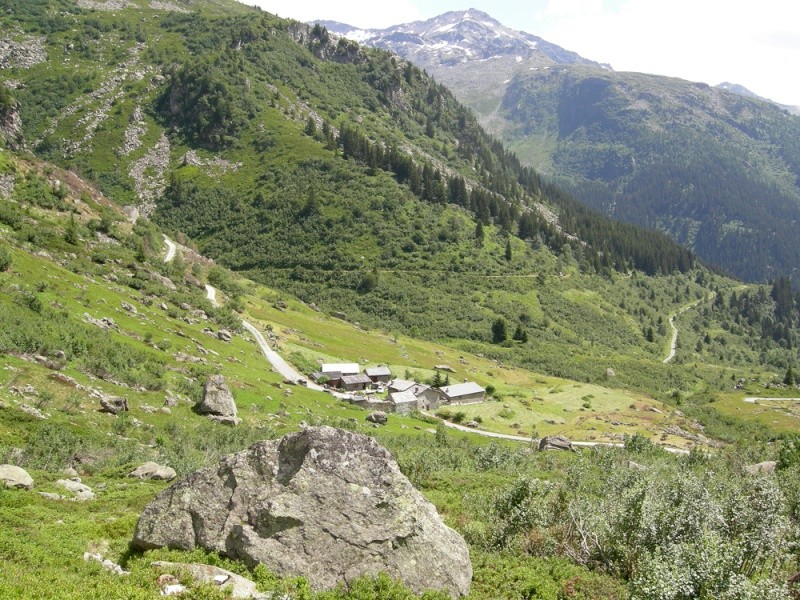 Sainte-Foy - Col du Mont - Col de Montséti Dscn9723