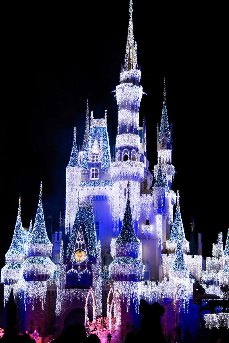 Once upon a christmas time: WDW, DCL, et Universal vu par 2 lyonnais du 01 au 20 novembre 2015 [TERMINÉ: 17/04/17] - Page 16 Dsc_8721