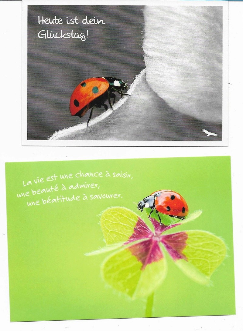 135 - cartes postale "fêtes, anniversaires, diverses"- coccinelle - Page 2 Cp_12110