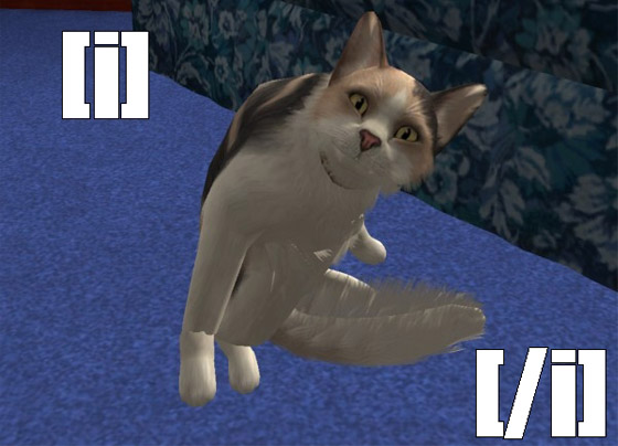 Lol - Italic Kitty  Lolsim20