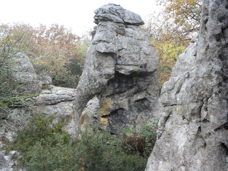 vacance en Ardèche  - Page 2 04510