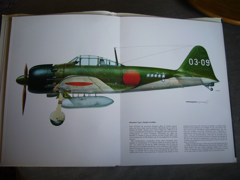Nakajima Ki 43 Hayabusa P1210518