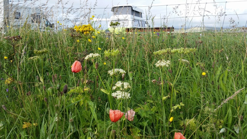 Western Isles - Island Hopping 20160719