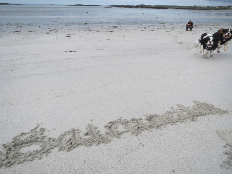 Western Isles - Island Hopping Img_2712