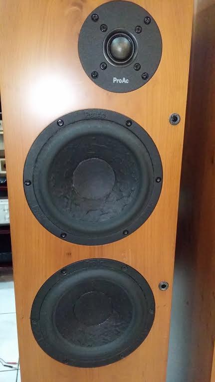  ProAc Response 3.8 speakers (Used) 1110